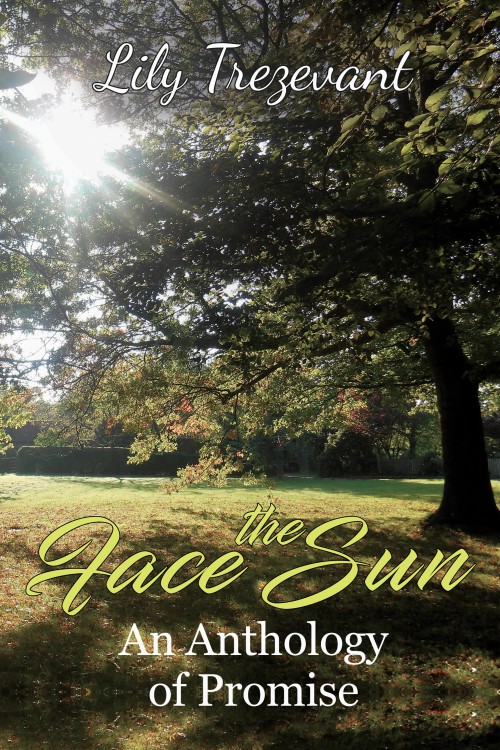 Face the Sun: An Anthology of Promise -bookcover
